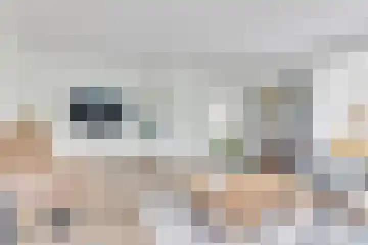 Melisse 1 Hoogkarspel thumbnail 10
