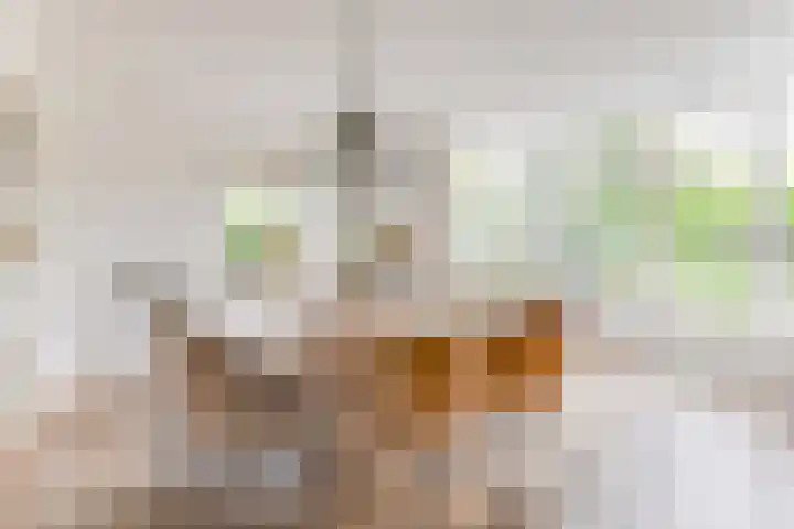 Melisse 1 Hoogkarspel thumbnail 12