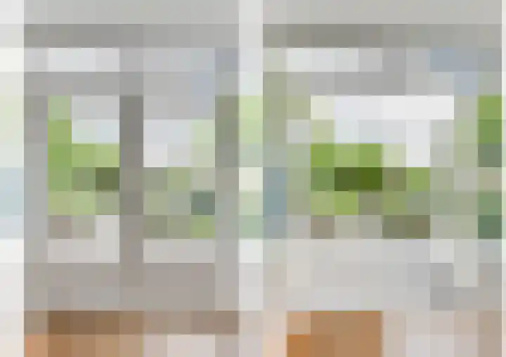 Melisse 1 Hoogkarspel thumbnail 13