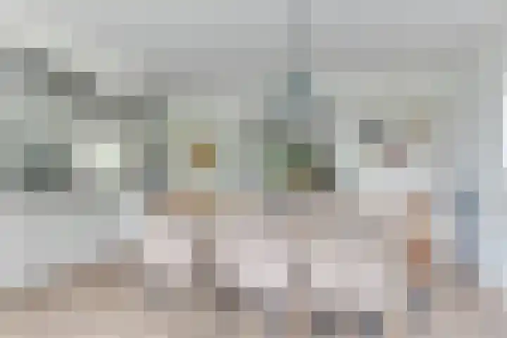 Melisse 1 Hoogkarspel thumbnail 14