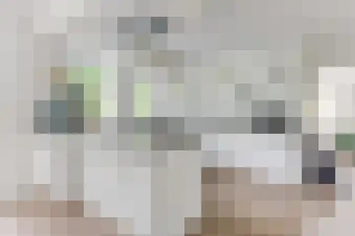 Melisse 1 Hoogkarspel thumbnail 15