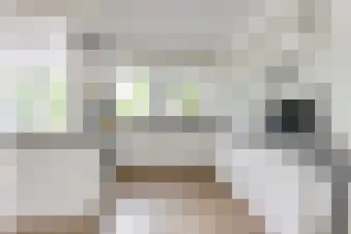 Melisse 1 Hoogkarspel thumbnail 16