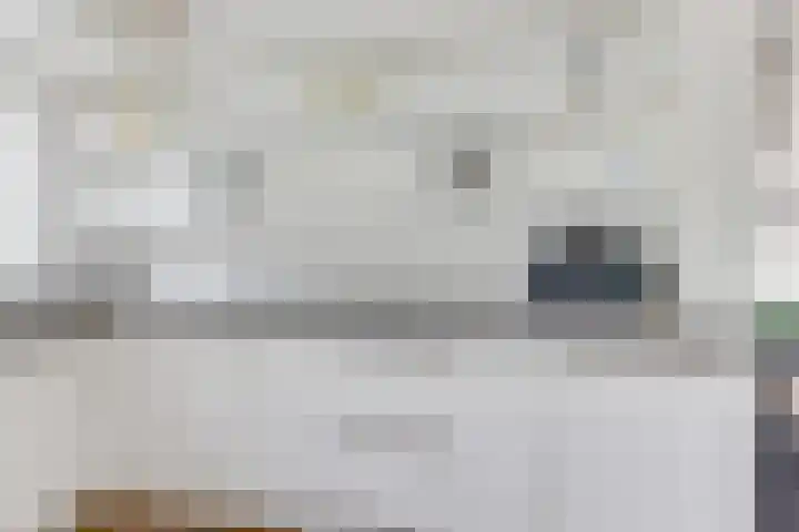 Melisse 1 Hoogkarspel thumbnail 17