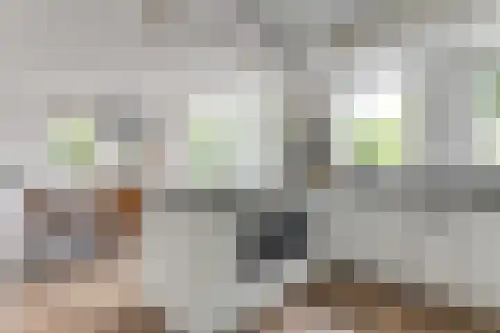 Melisse 1 Hoogkarspel thumbnail 18