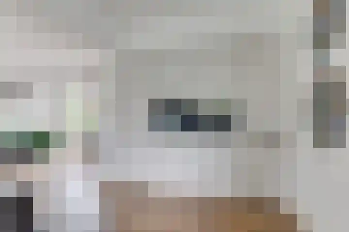 Melisse 1 Hoogkarspel thumbnail 19