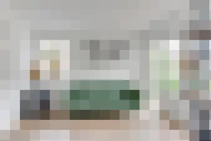 Melisse 1 Hoogkarspel thumbnail 20