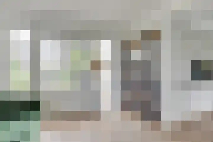 Melisse 1 Hoogkarspel thumbnail 21