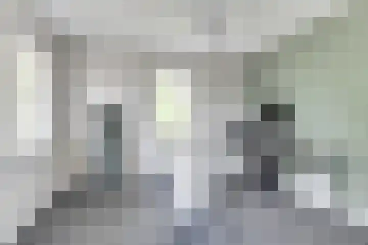 Melisse 1 Hoogkarspel thumbnail 25