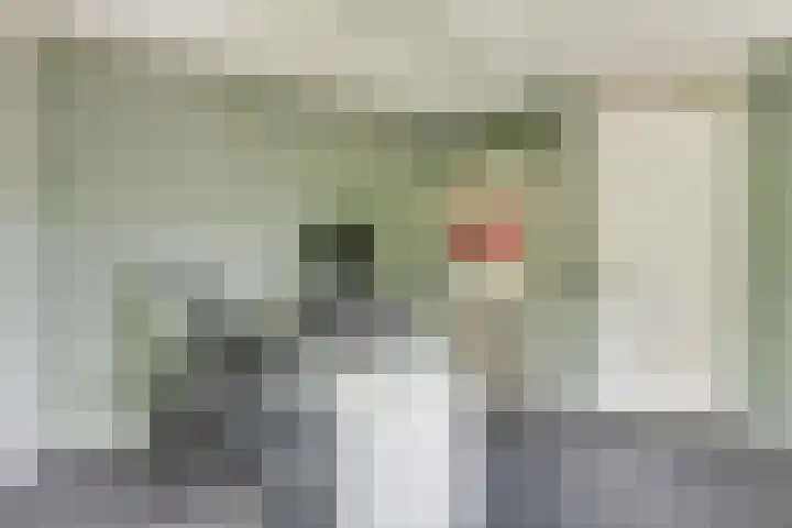 Melisse 1 Hoogkarspel thumbnail 26