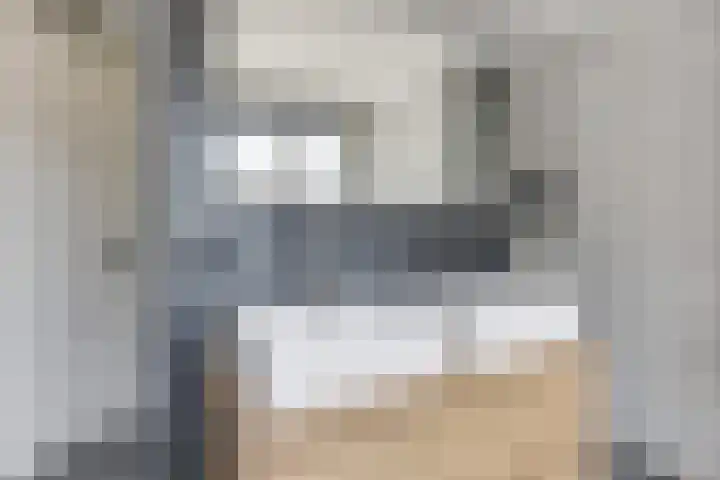 Melisse 1 Hoogkarspel thumbnail 28