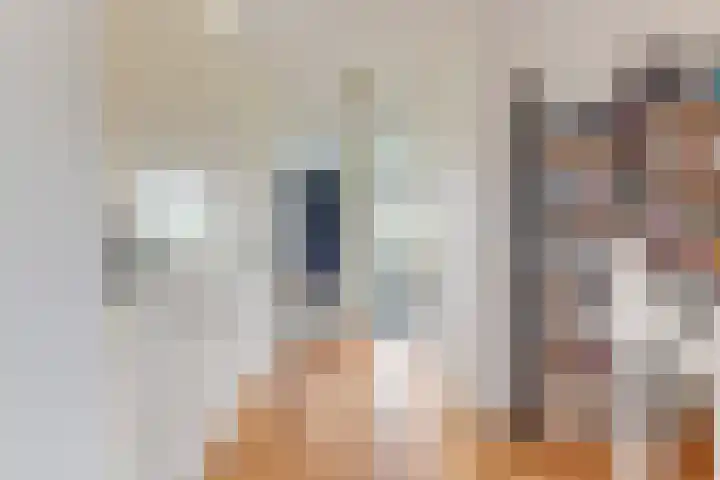 Melisse 1 Hoogkarspel thumbnail 30