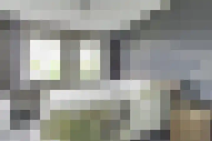 Melisse 1 Hoogkarspel thumbnail 31
