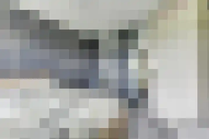 Melisse 1 Hoogkarspel thumbnail 32