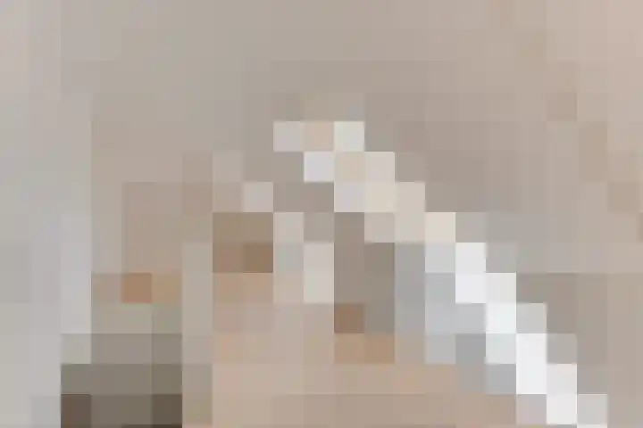 Melisse 1 Hoogkarspel thumbnail 36