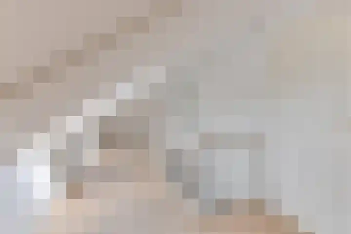 Melisse 1 Hoogkarspel thumbnail 39
