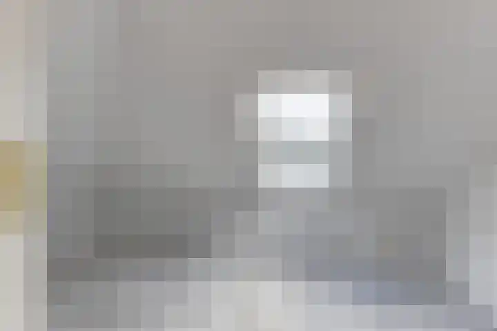 Melisse 1 Hoogkarspel thumbnail 40