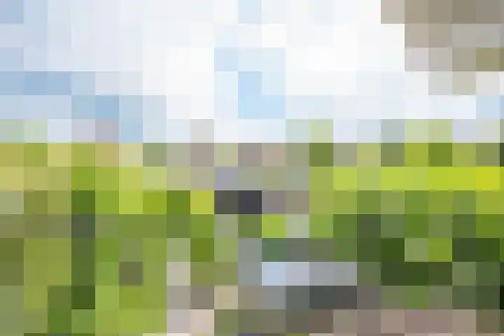 Melisse 1 Hoogkarspel thumbnail 42