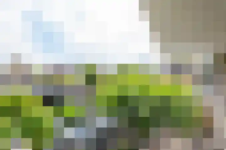 Melisse 1 Hoogkarspel thumbnail 43