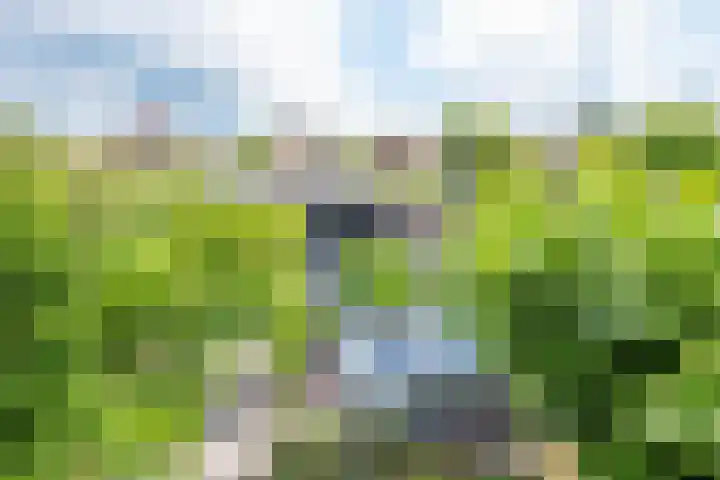 Melisse 1 Hoogkarspel thumbnail 44