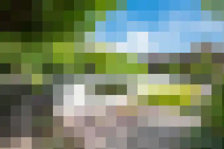 Melisse 1 Hoogkarspel thumbnail 46