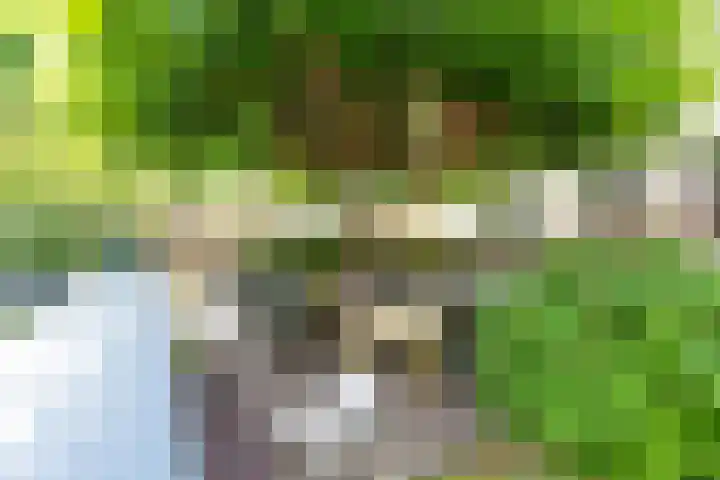 Melisse 1 Hoogkarspel thumbnail 47