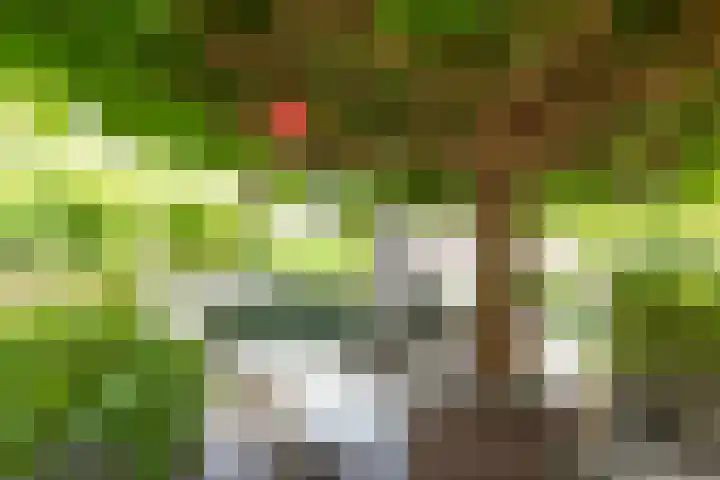 Melisse 1 Hoogkarspel thumbnail 48