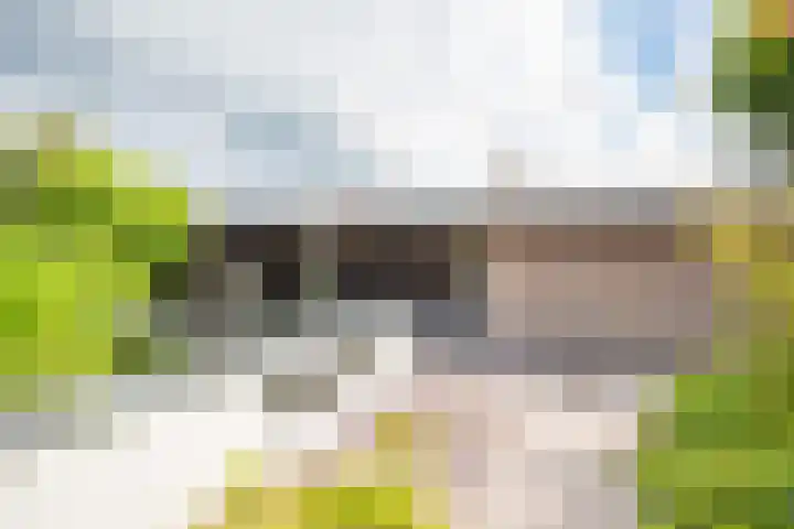 Melisse 1 Hoogkarspel thumbnail 49