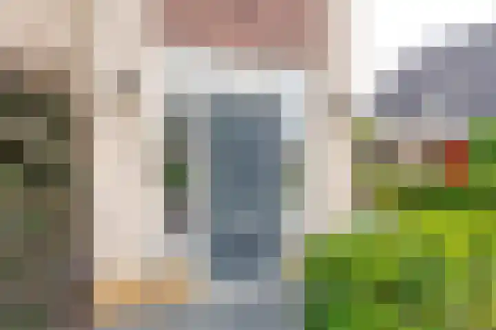 Melisse 1 Hoogkarspel thumbnail 5