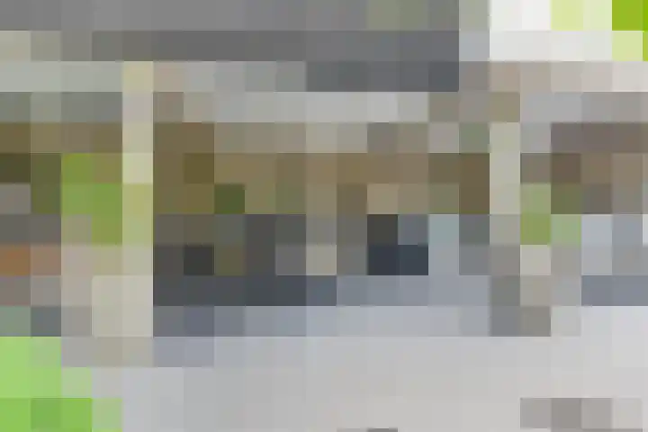 Melisse 1 Hoogkarspel thumbnail 50