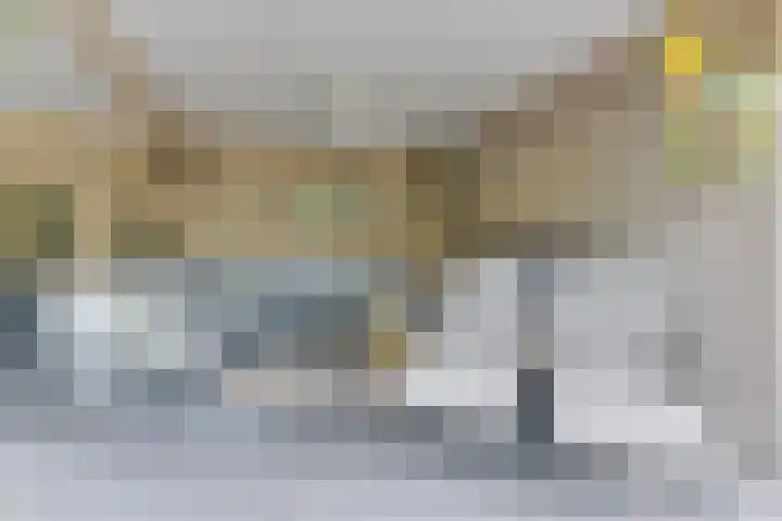 Melisse 1 Hoogkarspel thumbnail 51