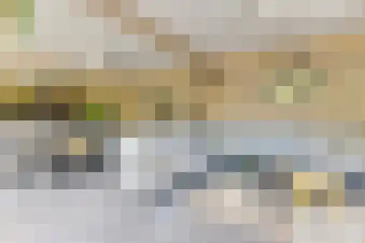 Melisse 1 Hoogkarspel thumbnail 52