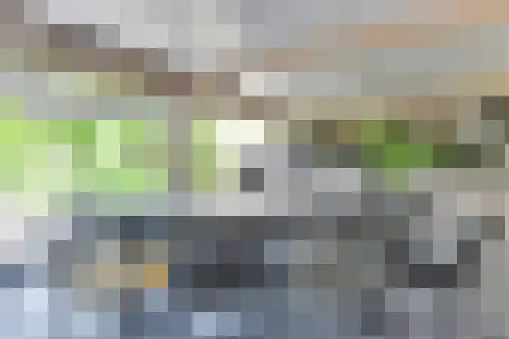 Melisse 1 Hoogkarspel thumbnail 54