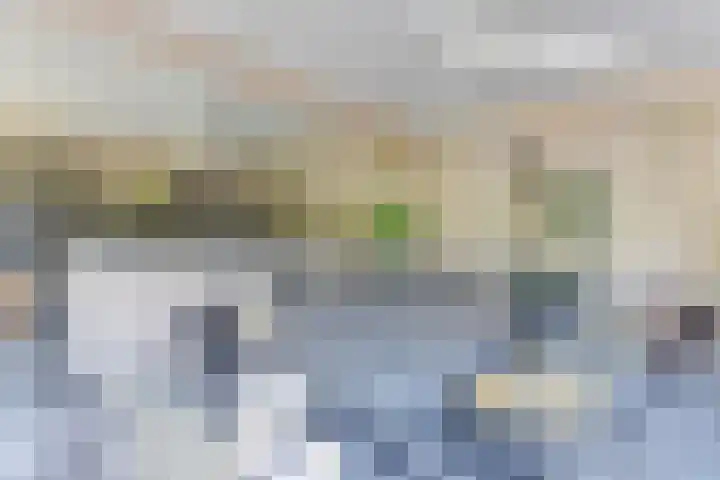 Melisse 1 Hoogkarspel thumbnail 55