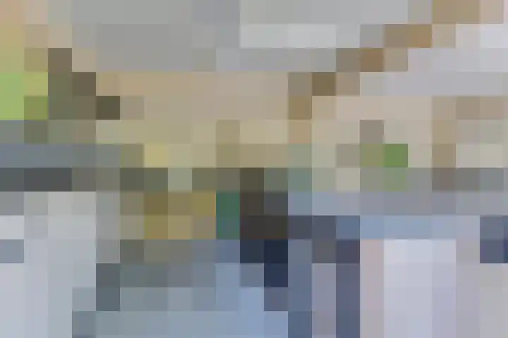 Melisse 1 Hoogkarspel thumbnail 56