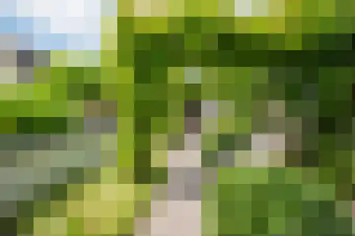 Melisse 1 Hoogkarspel thumbnail 58