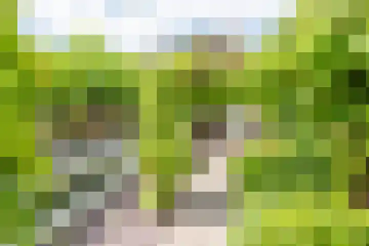 Melisse 1 Hoogkarspel thumbnail 59