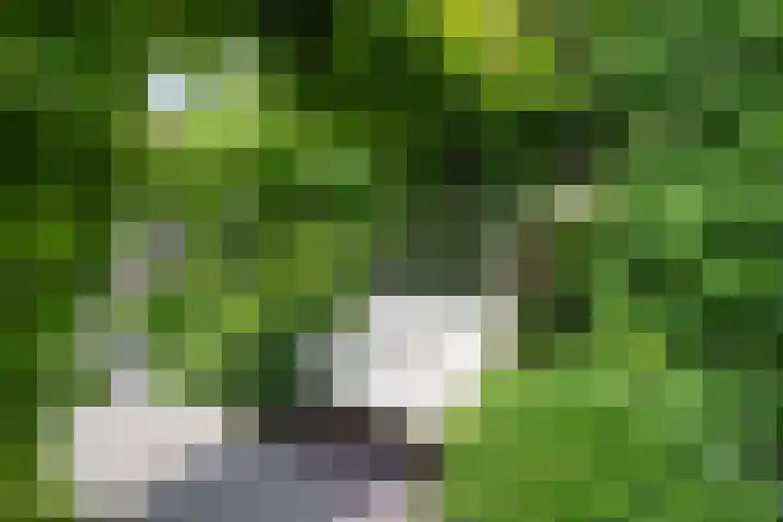 Melisse 1 Hoogkarspel thumbnail 60
