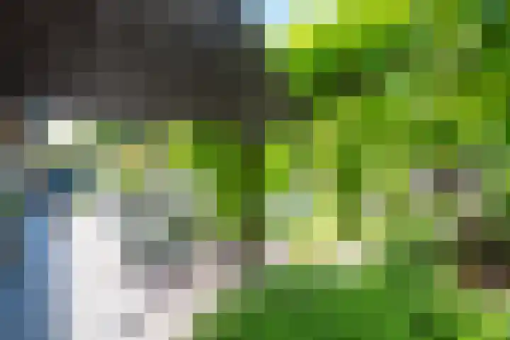 Melisse 1 Hoogkarspel thumbnail 61