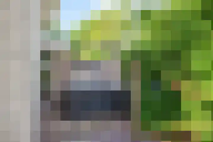 Melisse 1 Hoogkarspel thumbnail 62