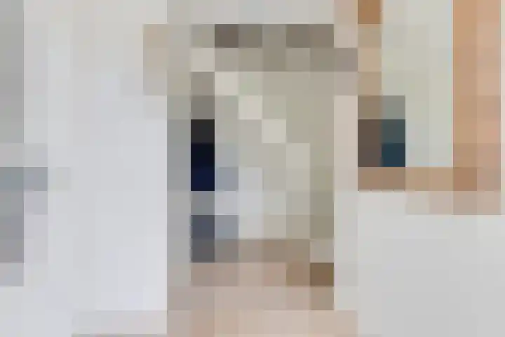 Melisse 1 Hoogkarspel thumbnail 7