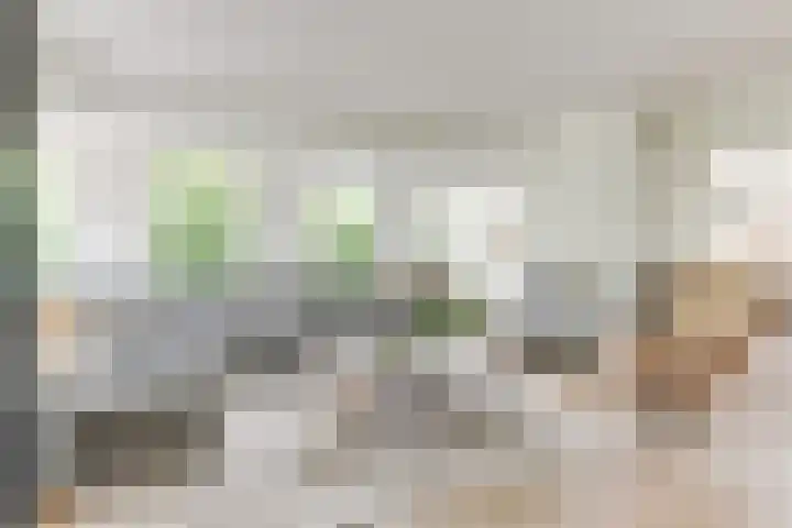 Melisse 1 Hoogkarspel thumbnail 8