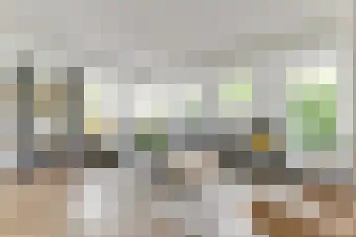 Melisse 1 Hoogkarspel thumbnail 9