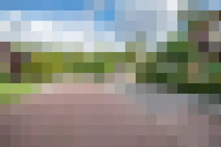 Melisse 14 Rutten thumbnail 48