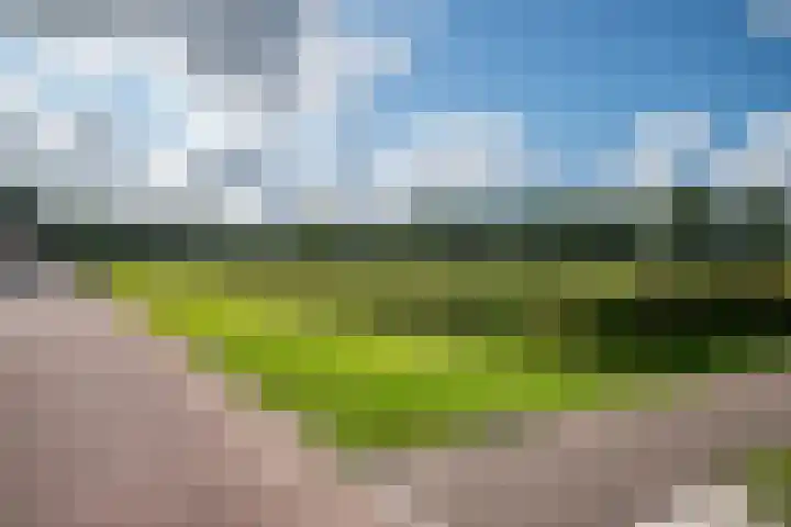 Melisse 14 Rutten thumbnail 49
