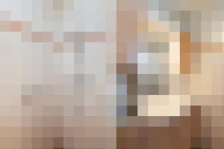 Melisse 16 Dronten thumbnail 10