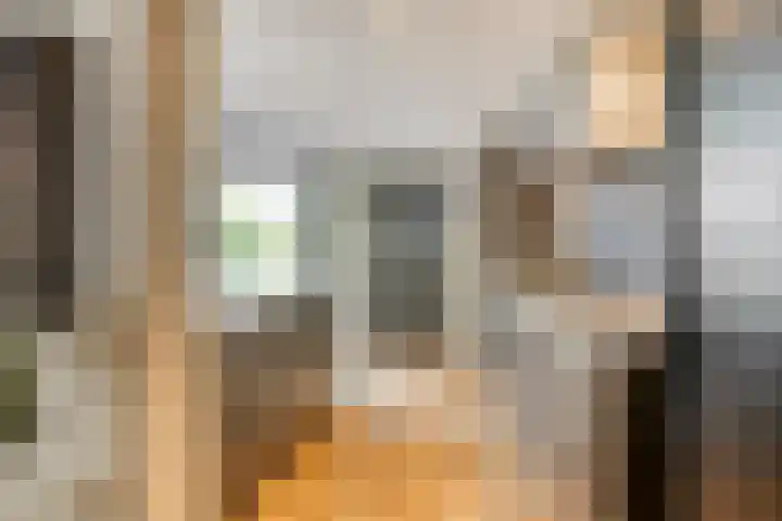 Melisse 16 Dronten thumbnail 15