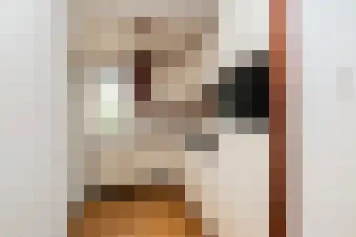 Melisse 16 Dronten thumbnail 16