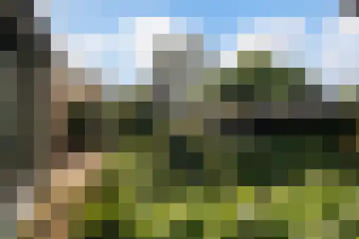 Melisse 16 Dronten thumbnail 23