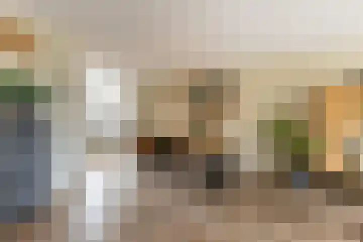 Melisse 16 Dronten thumbnail 4