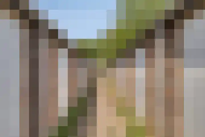 Melisse 16 Dronten thumbnail 7